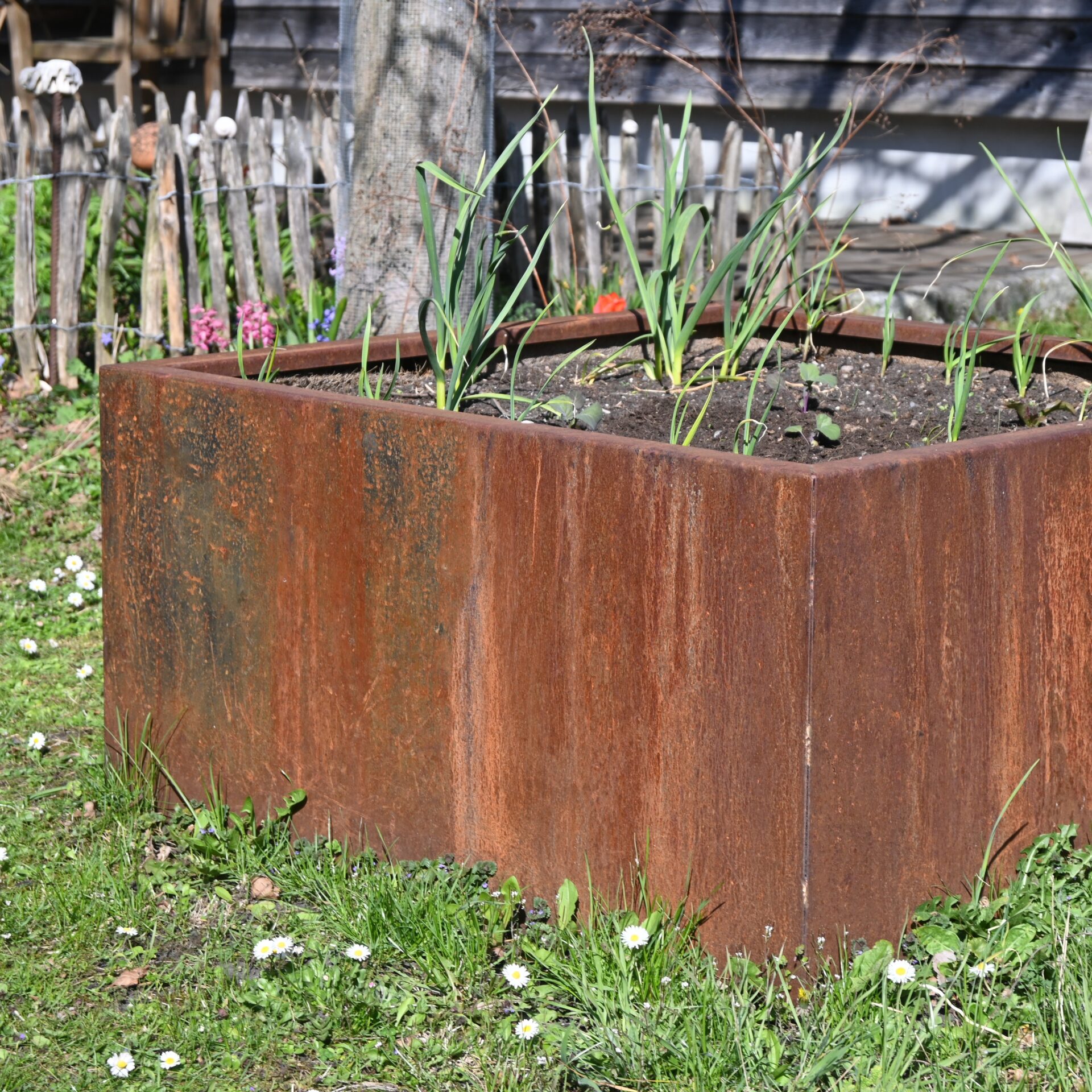 Cortenstahl Hochbeet